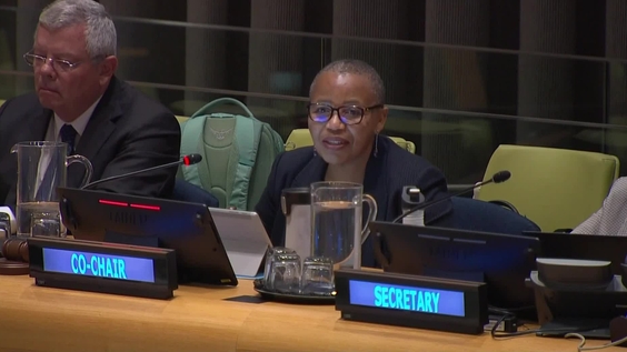 (2nd meeting) 8th Multi-Stakeholder Forum on Science, Technology and Innovation for the Sustainable Development Goals (STI Forum 2023)