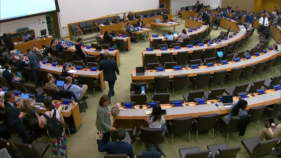 Intergovernmental Negotiating Committee on the United Nations Framework Convention on International Tax Cooperation - First Substantive Session 2025, 7th meeting