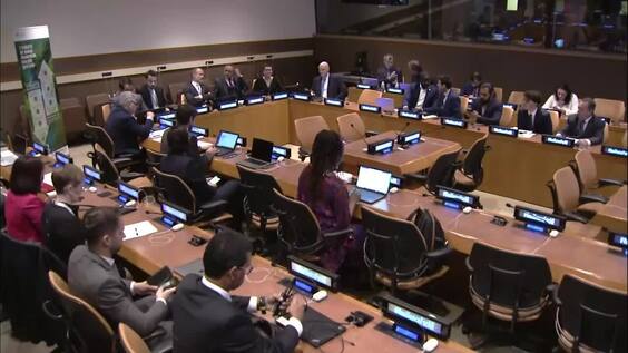 Scaling Up Risk Sensitive Urban Development - "Risk Reduction Hub" on the margins of the High-Level Meeting on Disaster Risk Reduction