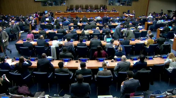 Fourth Committee 28th meeting - General Assembly 73rd session