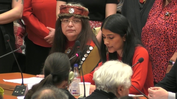 2099th Meeting, 89th Session, Committee on the Elimination of Discrimination against Women (CEDAW)