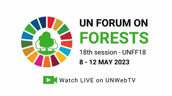 (6th meeting) UN Forum on Forests, 18th session