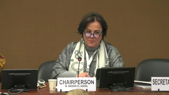 2147th Meeting, 90th Session, Committee on the Elimination of Discrimination against Women (CEDAW)