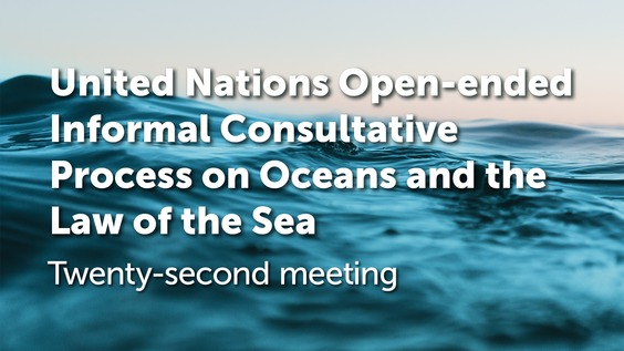 (Panel session 4) 22nd Meeting of the United Nations Open-ended Informal Consultative Process on Oceans and the Law of the Sea