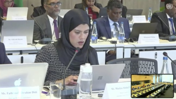 3170th Meeting, 116th Session, Committee on the Elimination of Racial Discrimination (CERD)