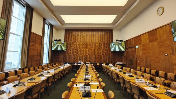 578th Meeting, 31st Session, Committee on Enforced Disappearances (CED)