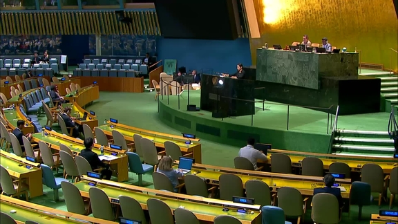 General Assembly: 96th plenary meeting, 80th session