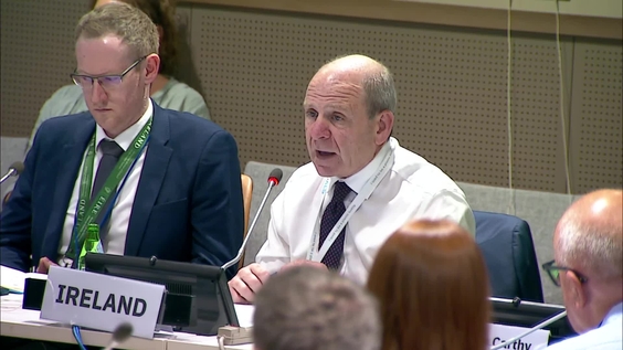Partnership and co-design – Perspectives on the role of Disabled Persons' Organisations in the development and implementation of National Disability Strategies (CRPD-COSP18 Side Event)