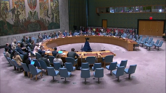The situation concerning Iraq - Security Council, 9043rd meeting