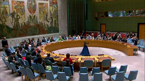The Situation in Mali - Security Council, 9365th Meeting