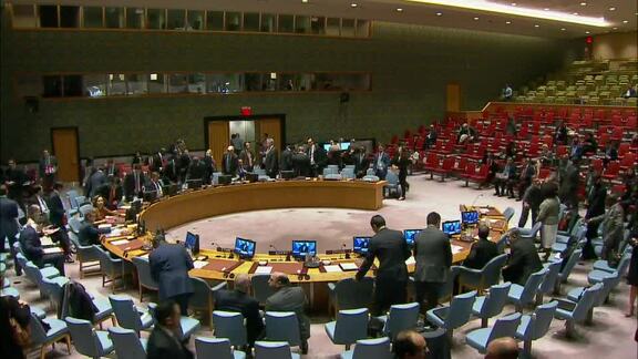 8084th Security Council Meeting: Situation in Central African Republic