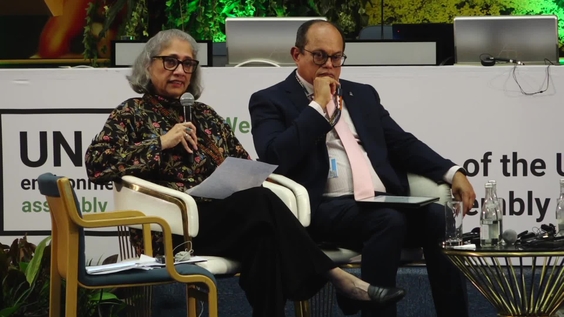 High-level Discussion on the conclusions of the Multilateral Environmental Agreements Day (MEAs Day) | UNEA-7