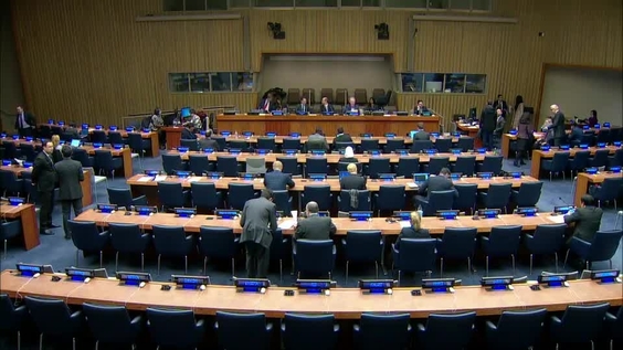 Fourth Committee 25th meeting - General Assembly 73rd session.