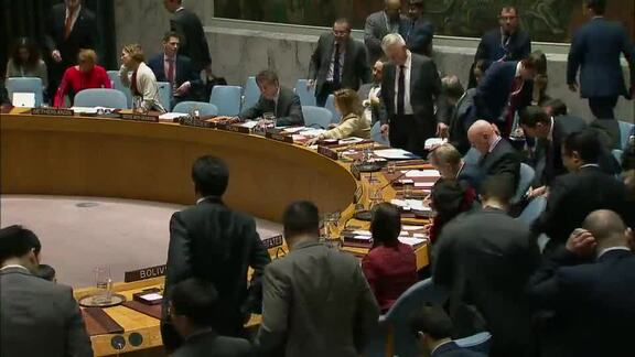 8228th Security Council Meeting: Situation in Middle East Part 2