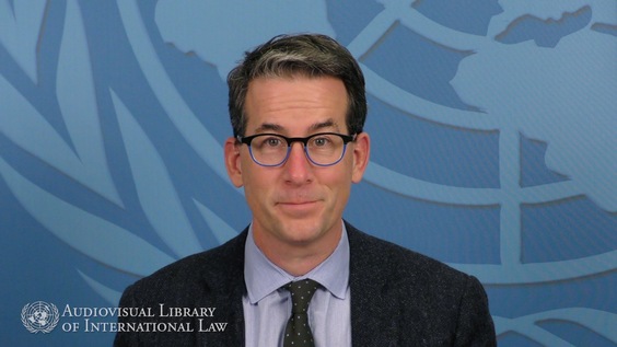 Duncan B. Hollis - Treaties in Operation - Interpretation, Domestic Application, Amendments, and Treaty Exit 