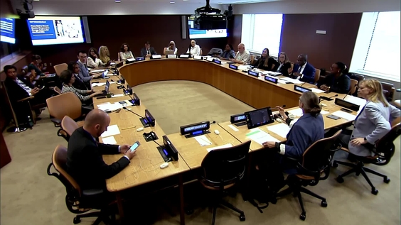 From Call to Count: Gender-Responsive Energy Actions for the Final Mile (HLPF 2026 Side Event)