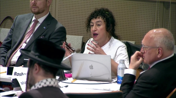 (Plenary 3, Closing) 2025 UN CEIRPP Civil Society Consultations "International Action Towards Ending the Nakba and Realising the Inalienable Rights of the Palestinian People"