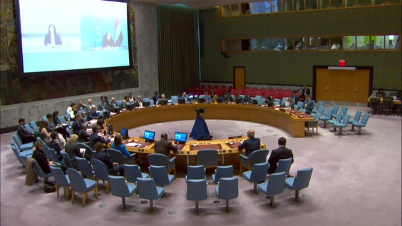 Ситуация в отношении Ирака - Совет Безопасности, 9432-е заседание