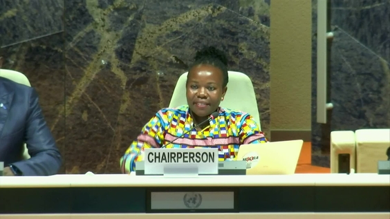1st Meeting, 32nd session of the United Nations Working Group of Experts on People of African Descent