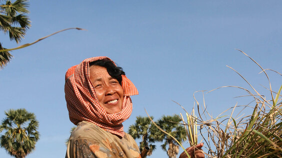 High-level opening and global overview of progress towards universal social protection