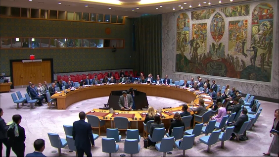 Ukraine - Security Council, 10237th meeting