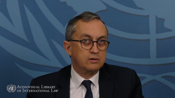 Juan Manuel Gómez Robledo - Guide de l'application à titre provisoire des traités