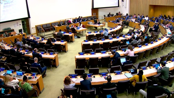 Intergovernmental Negotiating Committee on the United Nations Framework Convention on International Tax Cooperation - First Substantive Session 2025, 1st meeting