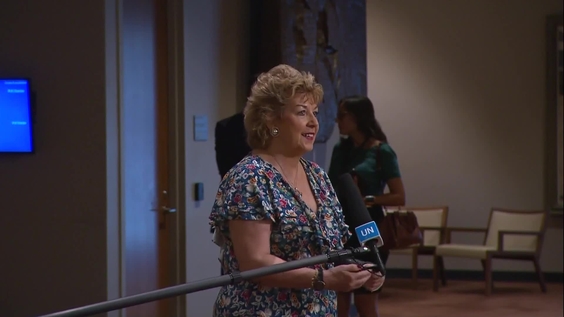 Geraldine Byrne Nason (Ireland) on Iran - Security Council Media Stakeout