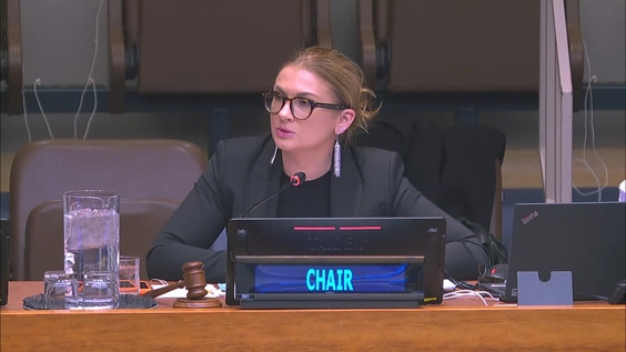 7th plenary meeting - 64th Session of the Commission for Social Development (CSocD64)