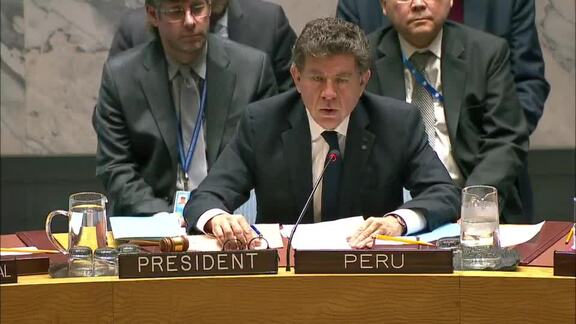 8238th Security Council Meeting: Colombia
