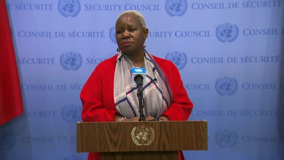 Bintou Keita (MONUSCO) on the situation in the Democratic Republic of the Congo - Security Council Media Stakeout (MONUSCO; Other matters)