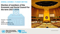 General Assembly: 88th plenary meeting, 80th session
