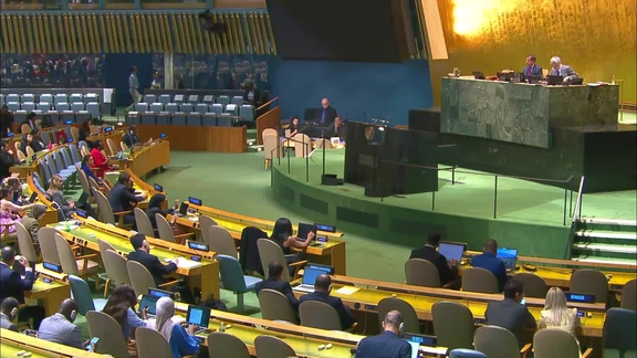 General Assembly: 88th plenary meeting, 80th session