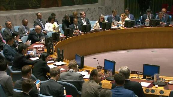 8044th Security Council Meeting: Cooperation Between UN and African Union