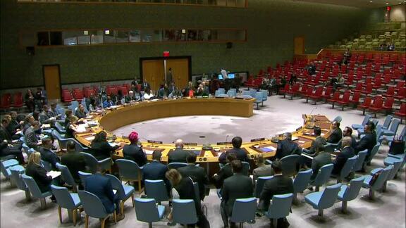 8678th Security Council Meeting: Situation in Somalia
