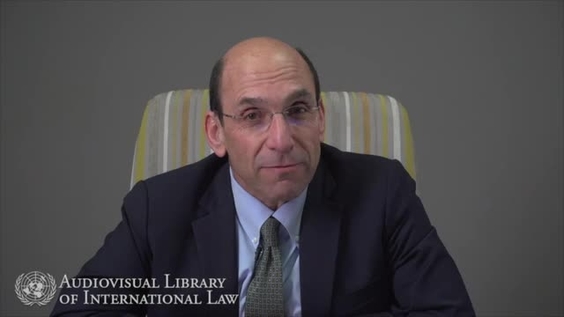 Daniel Bradlow - International Law and International Financial Institutions