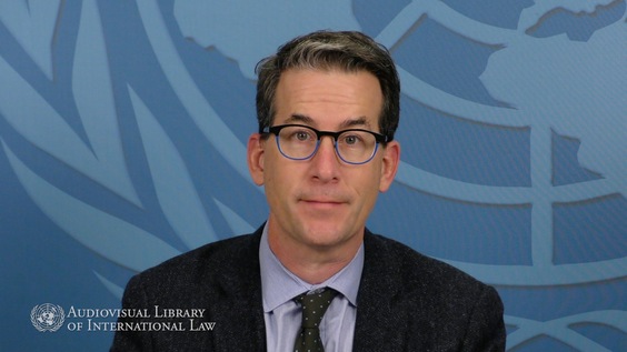 Duncan B. Hollis - Limiting Treaties - Validity Rules and Reservations