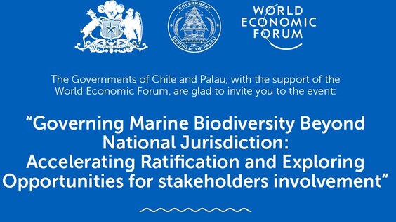 Governing Marine Biodiversity Beyond National Jurisdiction: Accelerating Ratification and Exploring Opportunities Private Sector's Involvement.