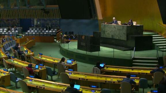 29th Plenary Meeting - General Assembly 75th Session