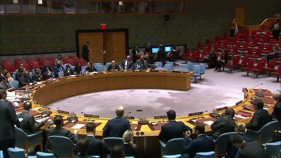 8385th Security Council Meeting: Peace and Security in Africa