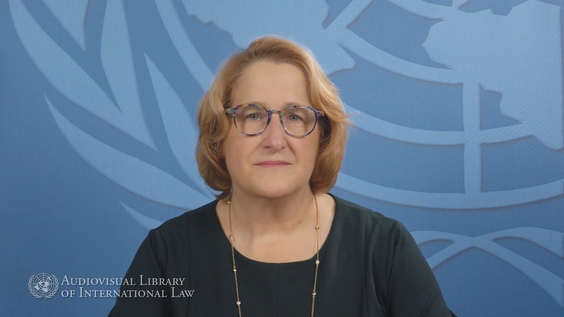 Kirsten N. Bookmiller - Introduction to International Disaster Law