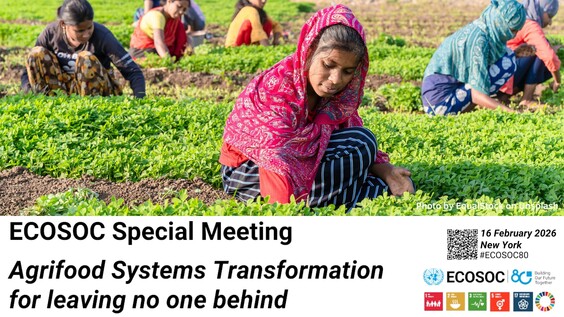 Special Meeting of ECOSOC on Agrifood systems transformations for leaving no one behind