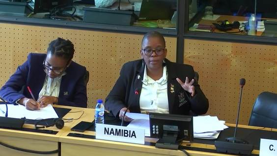 2140th Meeting, 81st Session, Committee Against Torture (CAT)