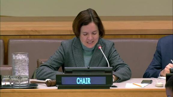 First Plenary Meeting of ECOSOC Committee on NGOs