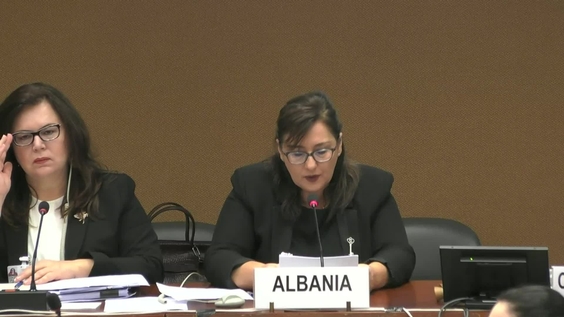 2013th Meeting, 86th Session, Committee on the Elimination of Discrimination against Women (CEDAW)