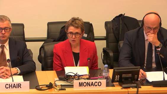 3115th Meeting, 114th Session, Committee on the Elimination of Racial Discrimination (CERD)