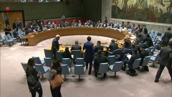 8011th Security Council Meeting: Situation in Middle East, Including Palestinian Question - Part 1