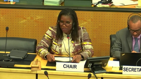 590th Meeting, 39th Session, Committee on Migrant Workers (CMW)