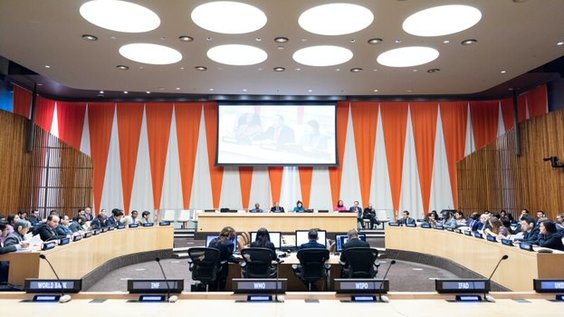 Этап рассмотрения гуманитарных вопросов 2022: открытие этапа заседаний  и  основные заявления- Экономический и Социальный Совет, 25-е пленарное заседание, 2022-я сессия