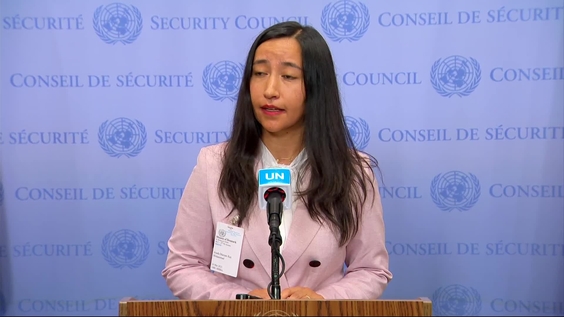 Azadah Raz Mohammad (Ham Diley Campaign) on Women, Peace and Security in Afghanistan - Security Council Media Stakeout
